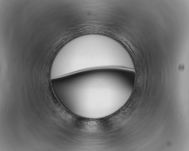 X0000096390513200801241119