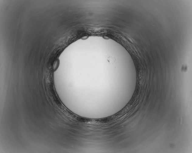 X0000096390515200801241119