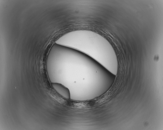 X0000096390516200801241119