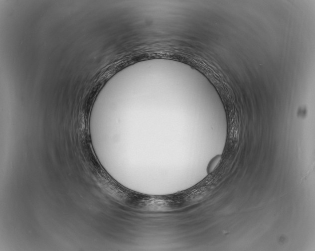 X0000096390518200801241119