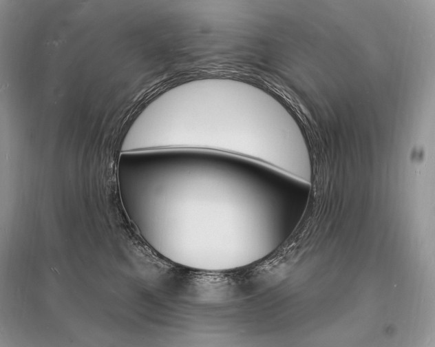 X0000096390521200801241119