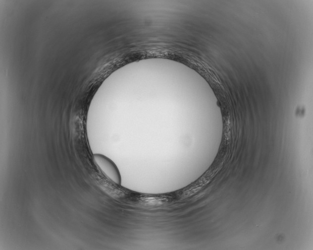X0000096390522200801241119
