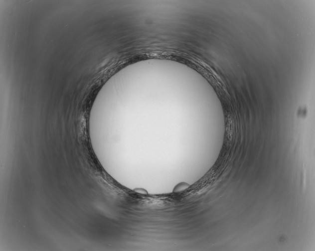 X0000096390523200801241119