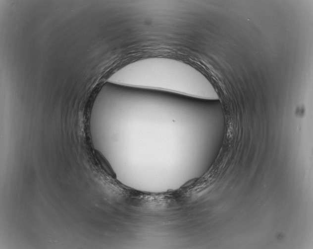 X0000096390524200801241119