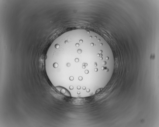 X0000096390527200801241119