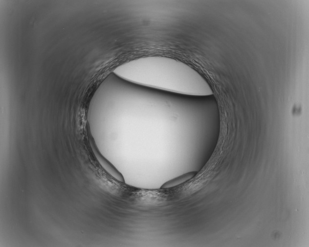 X0000096390528200801241119