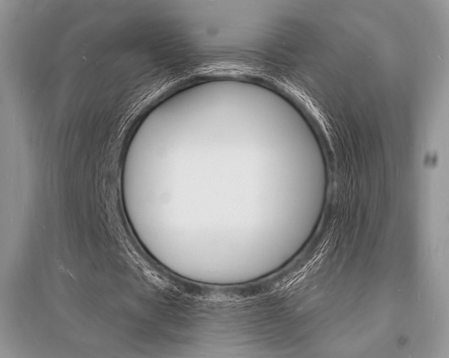 X0000096390529200801241119