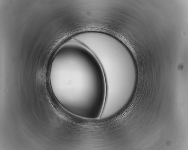 X0000096390530200801241119