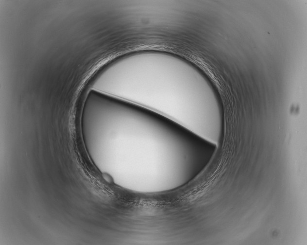X0000096390531200801241119