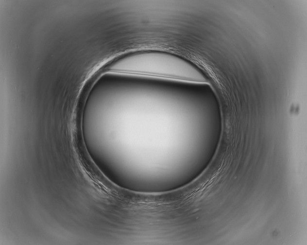 X0000096390532200801241119
