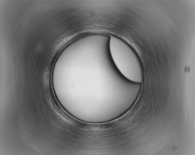 X0000096390533200801241119