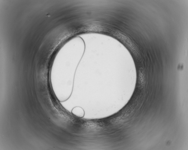 X0000096390534200801241119