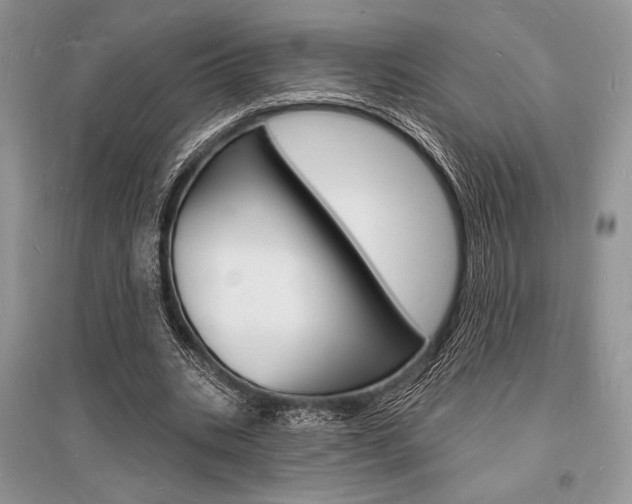 X0000096390535200801241119