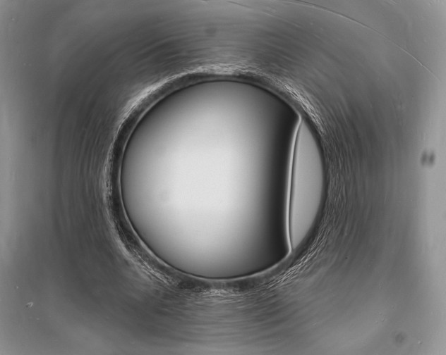X0000096390536200801241119