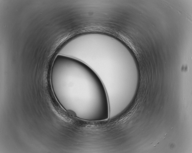 X0000096390538200801241119