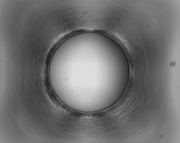 X0000096390540200801241119