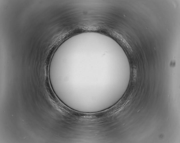 X0000096390541200801241119