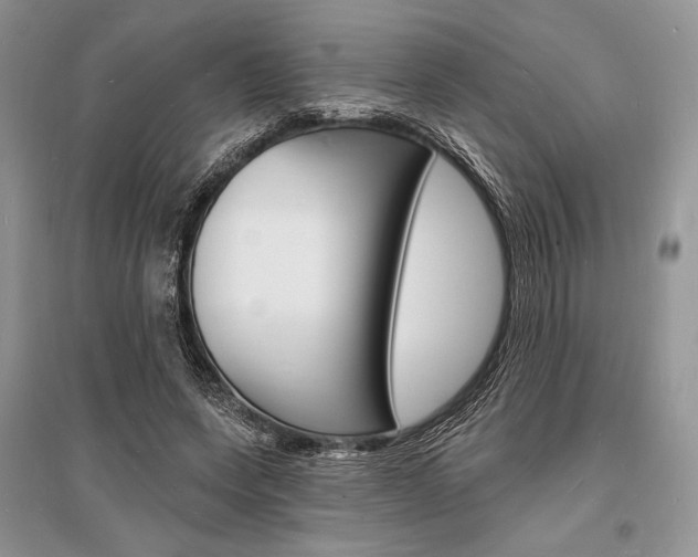X0000096390543200801241119