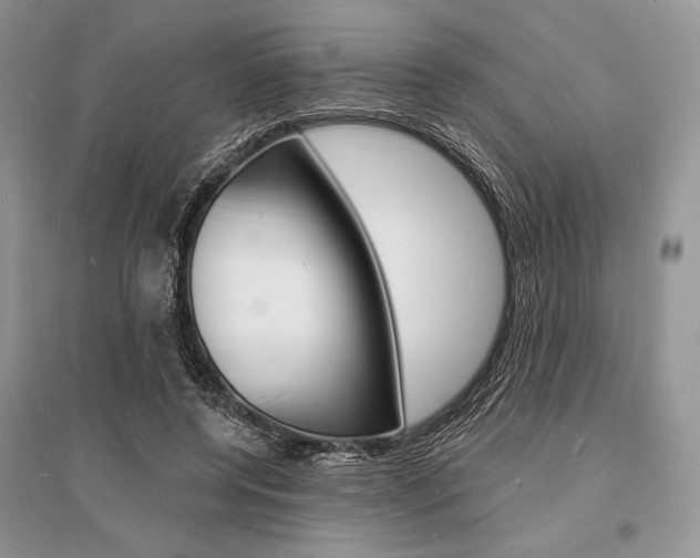 X0000096390544200801241119