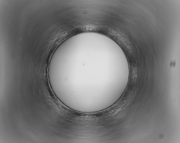 X0000096390545200801241119