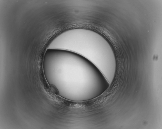 X0000096390546200801241119