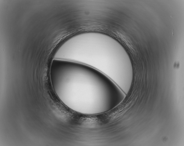 X0000096390548200801241119