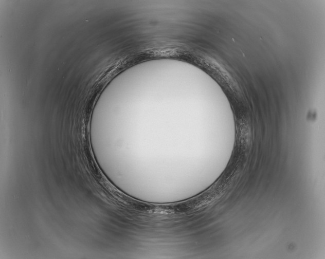 X0000096390549200801241119