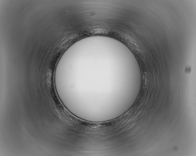 X0000096390550200801241119