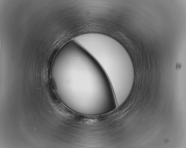 X0000096390552200801241119