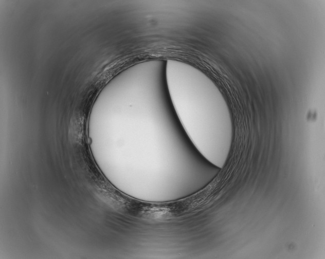 X0000096390554200801241119