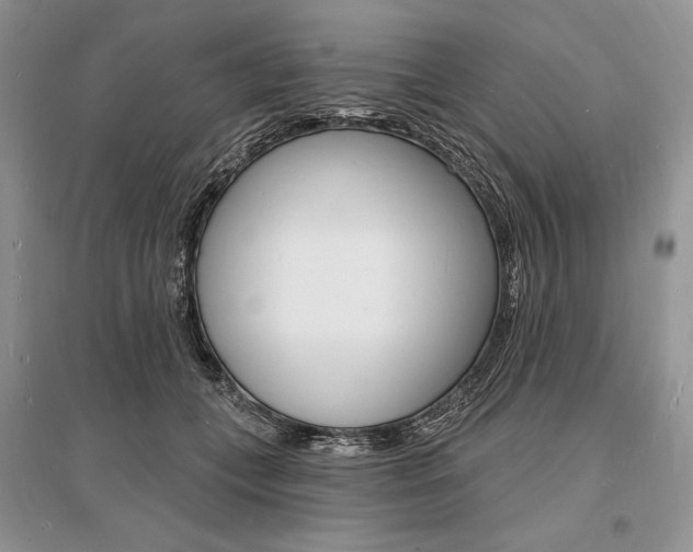 X0000096390559200801241119