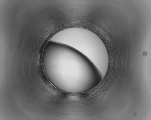 X0000096390560200801241119
