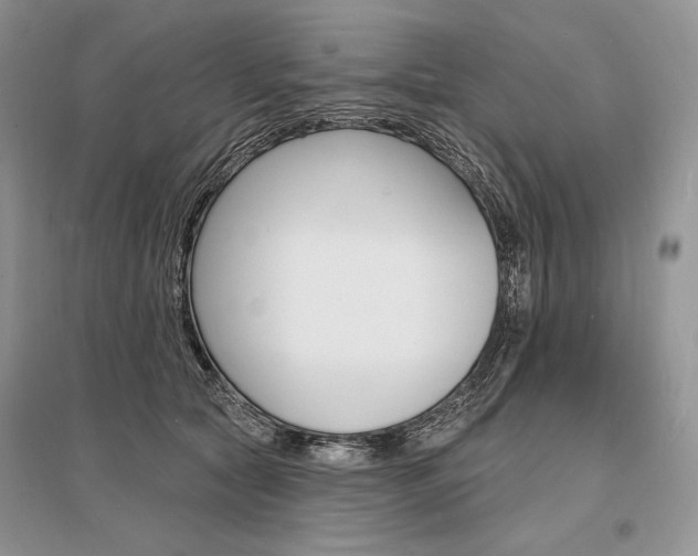X0000096390561200801241119