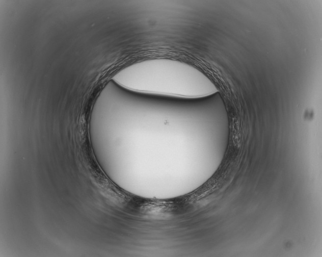 X0000096390563200801241119