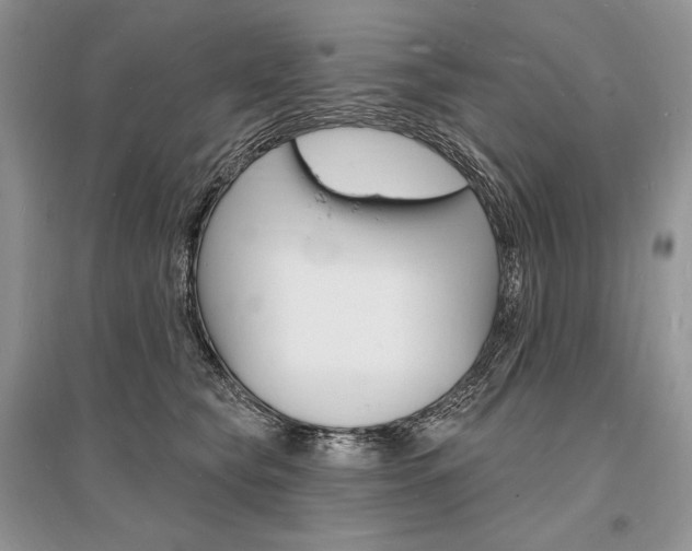 X0000096390565200801241119