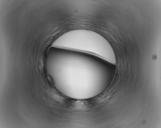 X0000096390566200801241119