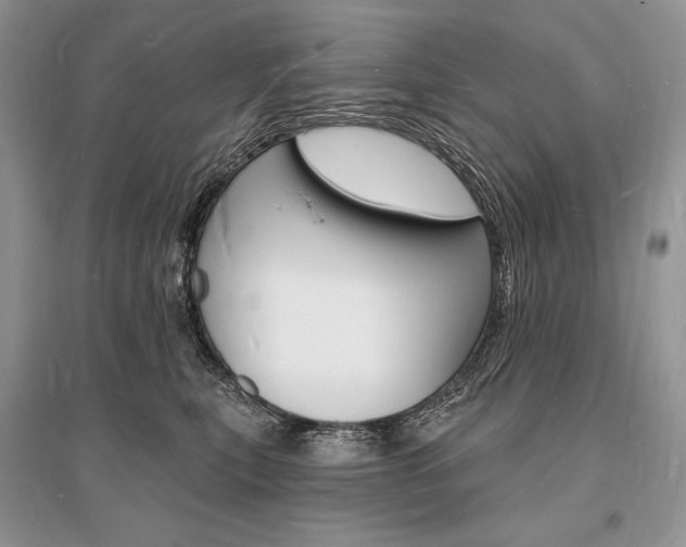 X0000096390567200801241119