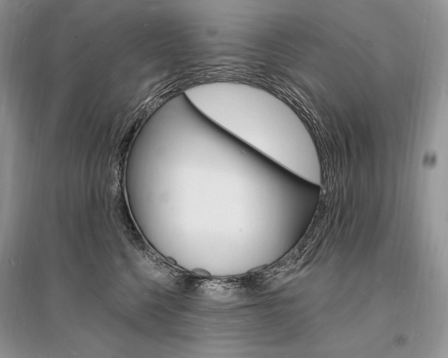 X0000096390568200801241119