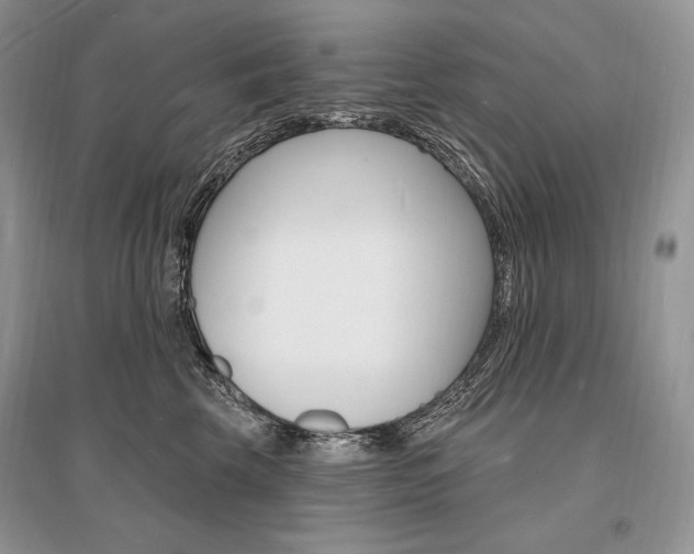 X0000096390569200801241119