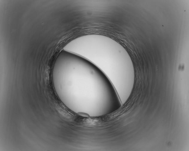 X0000096390570200801241119