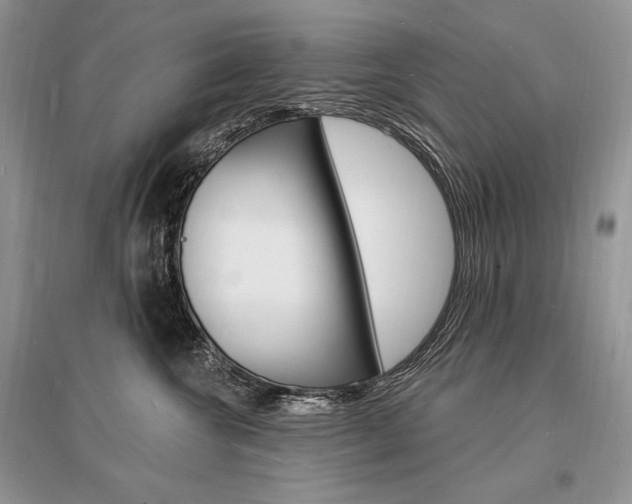 X0000096390572200801241119