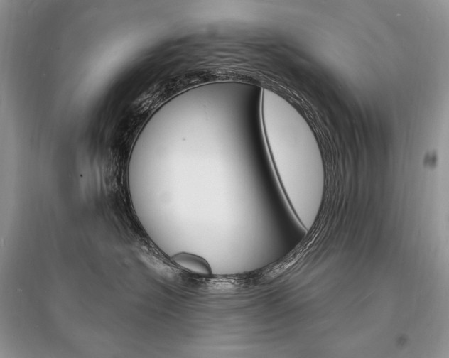 X0000096390574200801241119