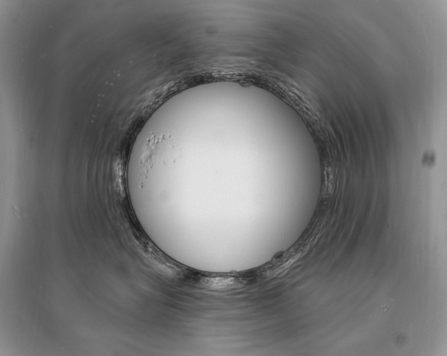 X0000096390575200801241119