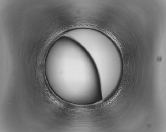 X0000096390577200801241119