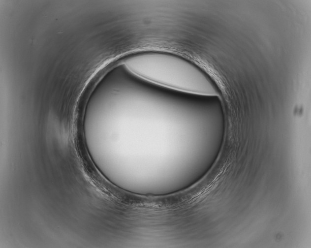 X0000096390580200801241119