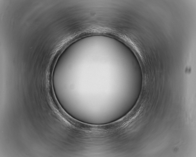 X0000096390581200801241119