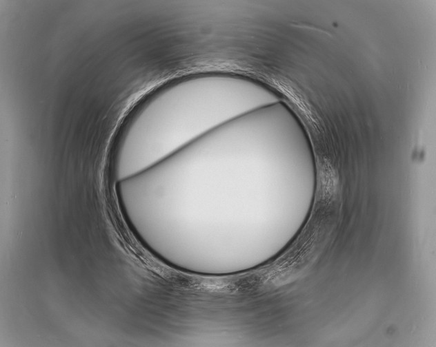 X0000096390583200801241119