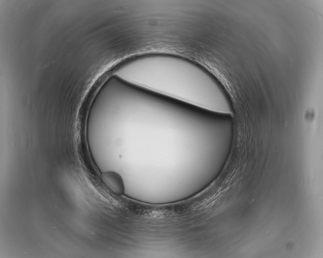 X0000096390584200801241119
