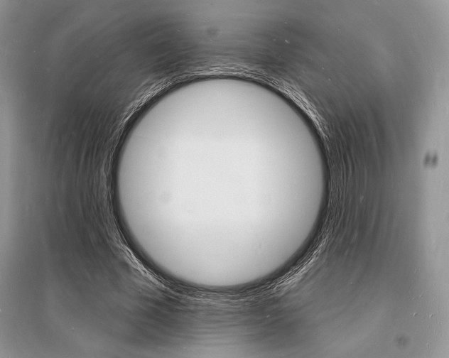 X0000096390585200801241119