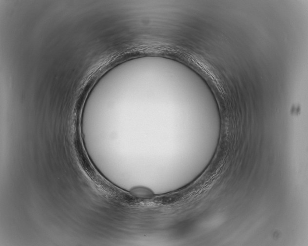 X0000096390586200801241118